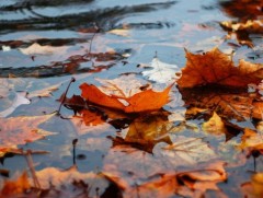 ЦАГ АГААР: Улаанбаатарт өдөртөө 5 хэм дулаан