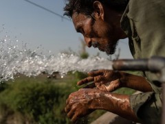 Эрдэмтэд дэлхийн хэмжээнд эрүүл мэндийн онц байдал зарлахыг ДЭМБ-д уриалжээ 