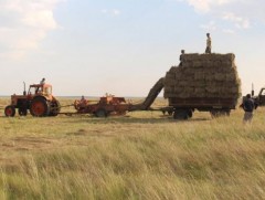 Сүхбаатар аймагт өвөлжилт, хаваржилтын бэлтгэл ажил ид өрнөж байна