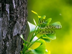 ЦАГ АГААР: Улаанбаатарт өдөртөө 14 хэм дулаан