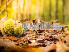 ЦАГ АГААР: Улаанбаатарт өдөртөө 9 хэм дулаан 