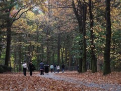 БНСУ-д хамгийн дулаахан арваннэгдүгээр сар тохиож байна