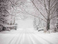 Ихэнх нутгаар цас орж, цасан шуурга шуурч, эрс хүйтэрнэ 