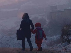 Амьсгалын замын өвчлөлийн 33 хувь нь агаарын бохирдлоос шалтгаалж байна