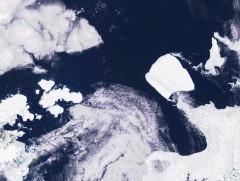 Дэлхийн хамгийн том мөсөн уул байрнаасаа хөдөлжээ