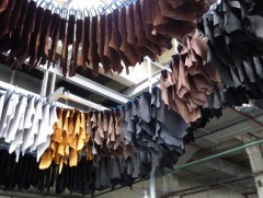 Арьс ширний салбарт төрөөс гаргасан зарим шийдвэр тушаа болж байна