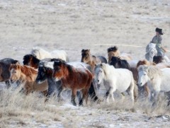 Татварын орлогоос шалтгаалан хөрөнгө оруулалтын зарим ажил удааширдаг
