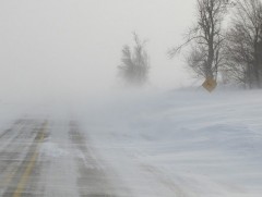 Энэ долоо хоногт ихэнх нутгаар цас орж, цасан шуурга шуурна