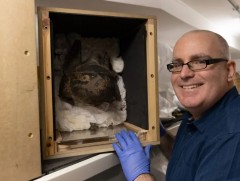 Эртний Египетийн ховор эд өлгийн зүйлс Уэльсийн их сургуульд заларна