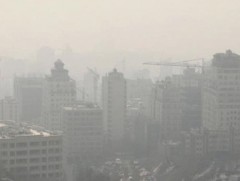 Агаарын бохирдол хүмүүсийн амь насанд халтай аюул учруулж байна