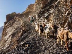 Пакистаны хоньчин эмэгтэйчүүдийн уламжлалт ахуй тасрах дөхжээ