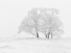 Маргаашаас нийт нутгаар хүйтний эрч чангарна