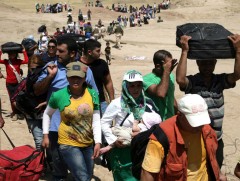 НҮБ: Дэлхий даяар 114 сая хүн дүрвэгчийн статустай байна