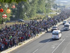 Хэдэн мянган дүрвэгчдийн цуваа АНУ-ын хилд тулж иржээ