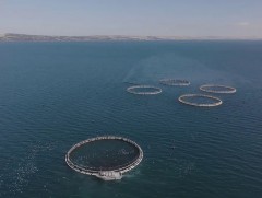 Эрдэмтэд дэлхийн анхны усны чанар шалгагч системийг амжилттай туршив