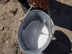 Нэг килограмм ингэний хатаасан сүү дэлхийн зах зээлд 100 ам.долларт хүрч байна