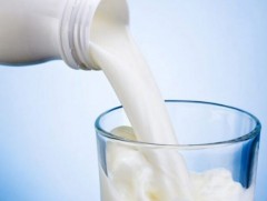 Шим тэжээллэг хүнс хэрэглэж дархлаагаа дэмжээрэй 