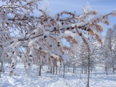 Хоёрдугаар сарын цаг агаарын ерөнхий төлөв