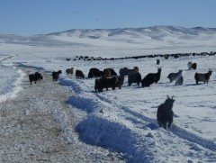 Энэ сарын цаг агаарын ерөнхий төлөв