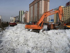Халиа, шар усны үер халдварт өвчнийг нэмэгдүүлэх эрсдэлтэй 