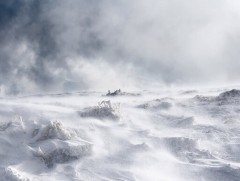 Ховд аймгийн Зэрэг суманд цаг агаарын гамшигт үзэгдлийн хэмжээнд хүрч хүчтэй салхилж байна