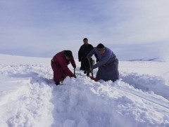 Хунгарлаж шуурсан газартаа 80 см, гуу жалгандаа 100 см хүртэл зузаан цастай байна