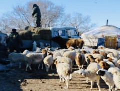 Малчдад орон нутагтаа амьдрал ахуйгаа сайжруулахад нь бүхий л талын дэмжлэг үзүүлнэ 