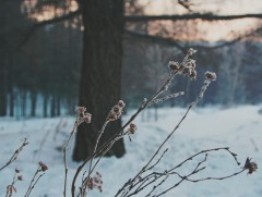 Өнгөрсөн 7 хоногт ихэнх нутгаар цаг агаар тогтвортой, дулаан байв