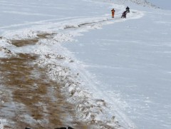 Сураггүй алга болсон 82 настай эмэгтэй эсэн мэнд гэртээ иржээ