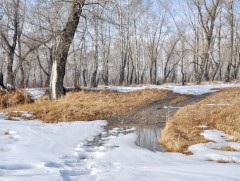 ЦАГ АГААР: Улаанбаатарт өдөртөө 8 хэм дулаан