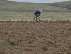 Газар тариалангийн бүс нутагт хөрс их хэмжээгээр доройтож байна