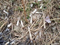 Архи, тамхины хэрэглээ болон орчны бохирдол хүний удмын санд сөрөг нөлөөтэй