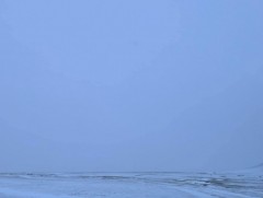 Баянхонгорын Гурванбулаг суманд 20 см цасан бүрхүүл тогтжээ