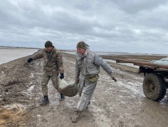 Казахстан улсад шар усны үерийн улмаас 4700 гаруй оршин суугчийг нүүлгэн шилжүүлжээ