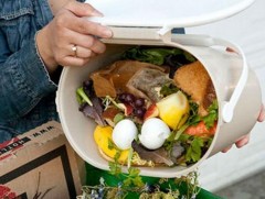 Өнөөдөр хүнсний хог хаягдлыг багасгах олон улсын өдөр