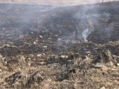 Ой хээрийн түймрээс сэрэмжлүүлж байна