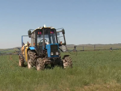 Төв аймаг энэ жил 390 мянган тонн ургац хураан авахаар төлөвлөжээ