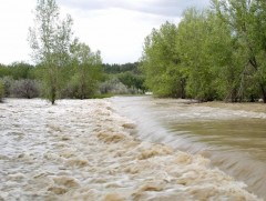 Голуудын усны түвшин өмнөх өдрийнхөөс 10-65 см нэмэгдсэн байна