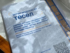 Соёлын бүтээлч үйлдвэрлэлийг дэмжих тухай хууль эцэслэн батлагдлаа 