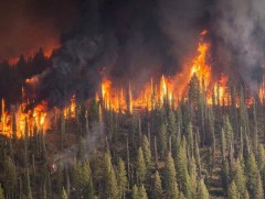 Түймрийн утаа хүний эрүүл мэндэд хэрхэн нөлөөлдөг вэ