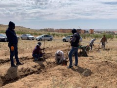 “Дундговио ногооруулъя” хөтөлбөр хэрэгжиж байна