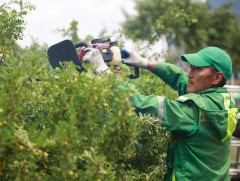 Мод арчилгааны компаниудад мэргэжлийн боловсон хүчин дутагдалтай байна