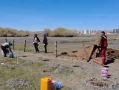 Баянхонгор сумын хоёр байршилд ногоон төгөл байгуулна