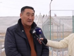 Түдэвтэй сум мал аж ахуй, газар тариалангийн салбарыг хослуулан хөгжүүлж байна