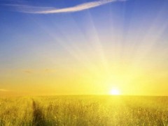 Тавдугаар сарын 12-ноос эхлэн ихэнх нутгаар хална