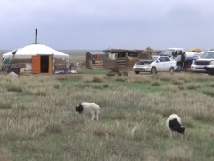 Малчин өрхийн амьжиргаа, эрүүл мэнд, сэтгэл зүйд анхаарах шаардлагатай байна