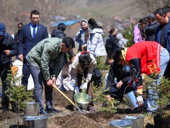 Монгол Улсын Ерөнхийлөгч “Нөхөрлөлийн ой” цэцэрлэгт хүрээлэнд мод тарилаа