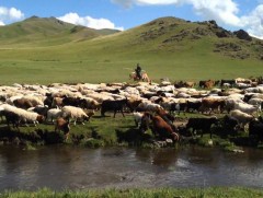 Цаг агаарын урьдчилсан мэдээллийг орон нутагт нь нарийвчлан гаргадаг болно 