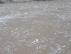 Ховд аймагт зарим гол үерийн түвшинг даван үерлэж байна 