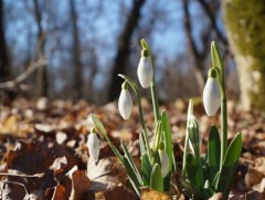 Ирэх саруудын цаг агаарын ерөнхий төлөв